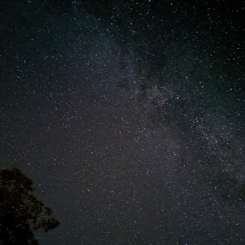 Photo #7775774