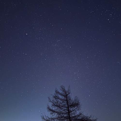 Photo #7775778