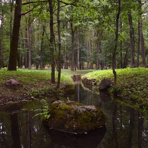 Photo #7775793