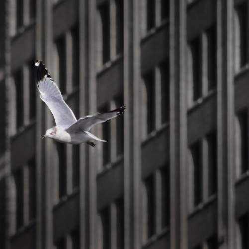 Photo #7775803