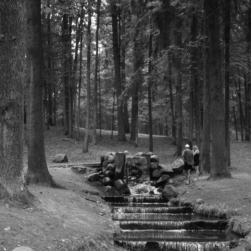 Photo #7775804