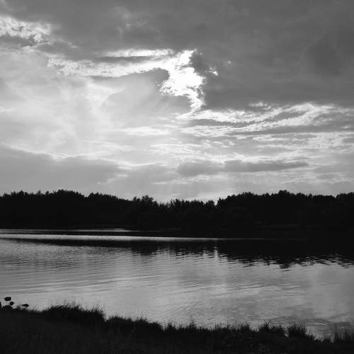 Photo #7775805
