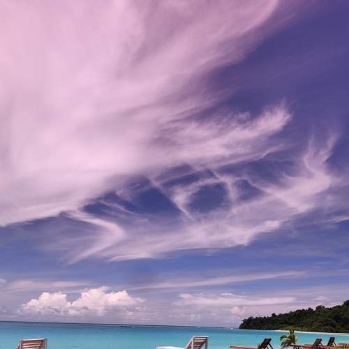 Photo #7776030