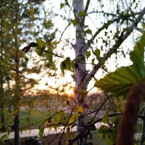 Photo #7776168