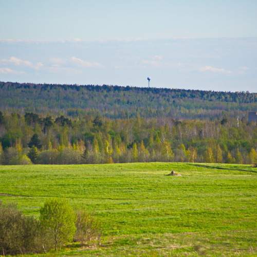 Photo #7776333