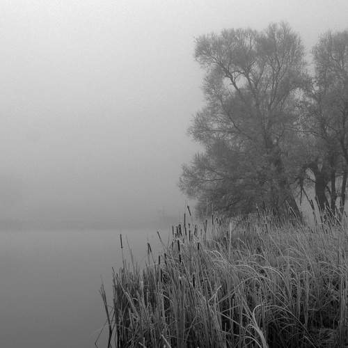 Photo #7776430