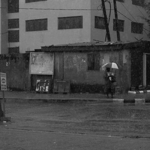 Photo #7776481