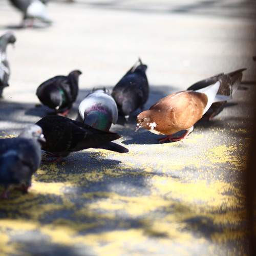 Photo #7776774