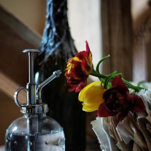 Photo #7776833