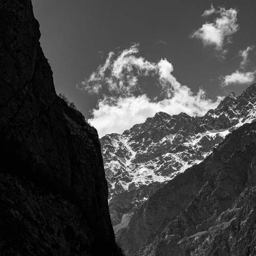 Photo #7776837