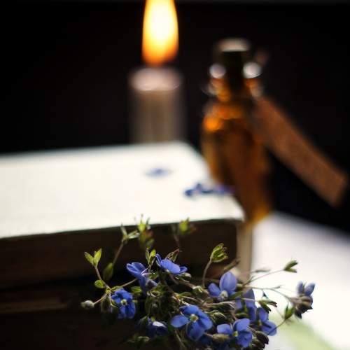 Photo #7776839