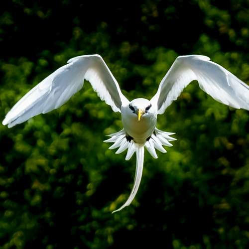 Photo #7777016