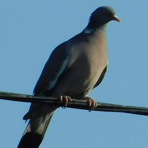 Photo #7777079