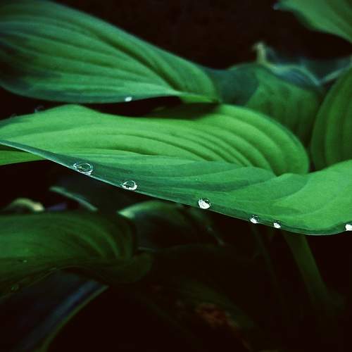 Photo #7777181