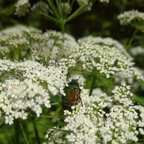 Photo #7777256