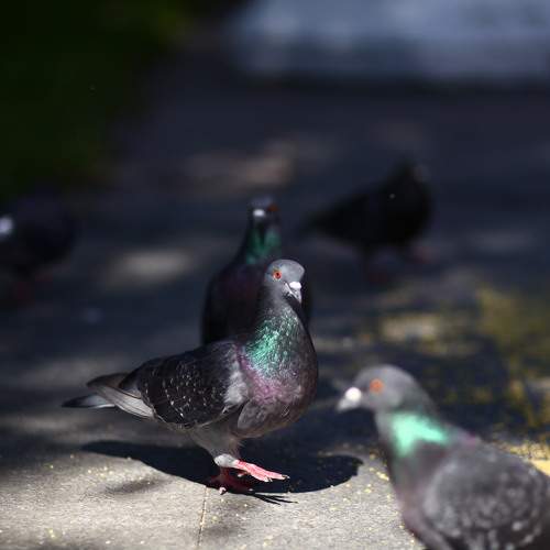 Photo #7777268