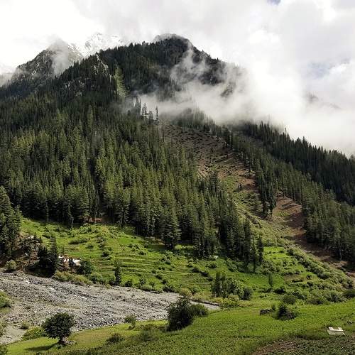 Photo #7777954