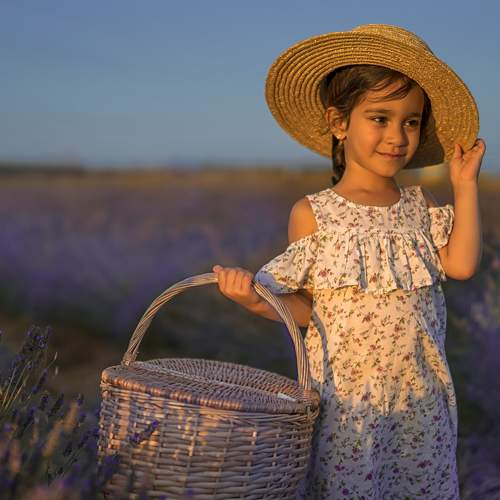 Photo #7778405