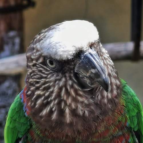 Photo #7778525
