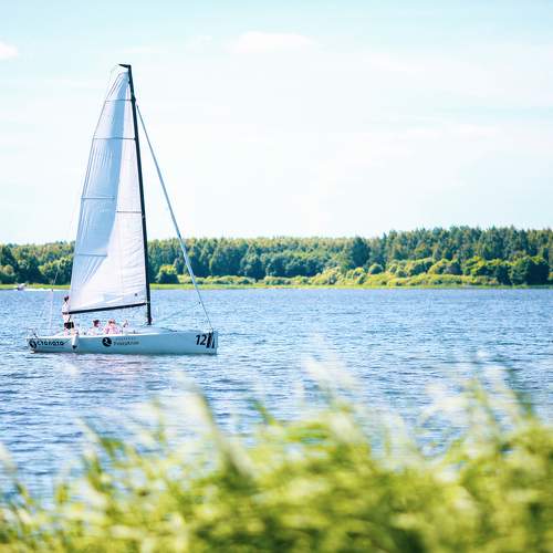 Photo #7778528