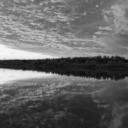Photo #7778556