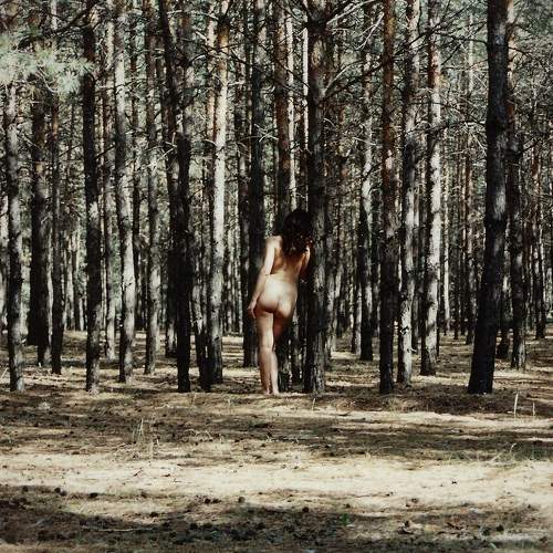 Photo #7778652