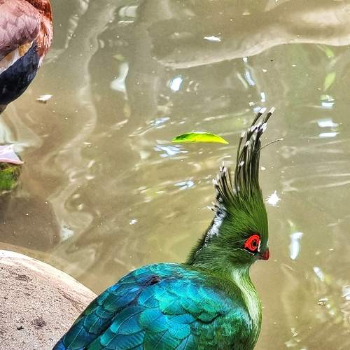 Photo #7778740