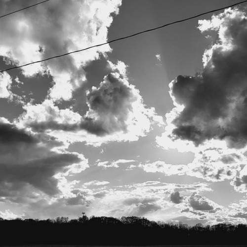 Photo #7778841