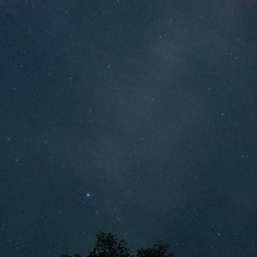 Photo #7779012
