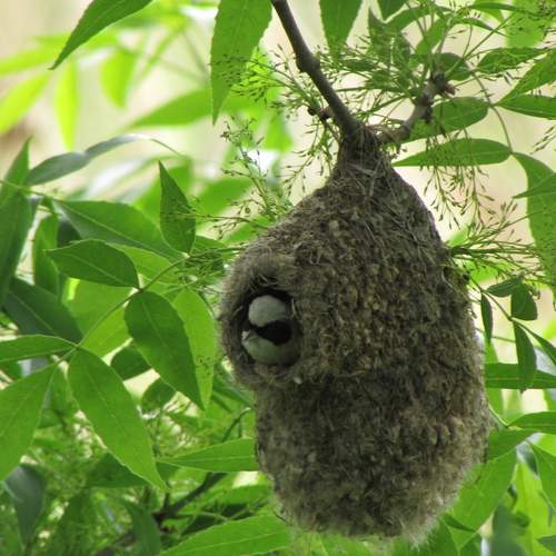 Photo #7779109