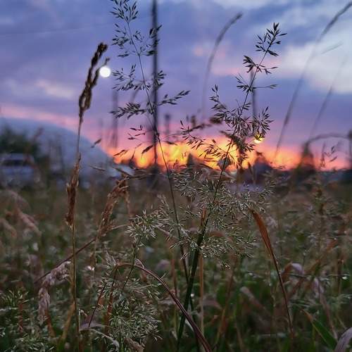 Photo #7779156