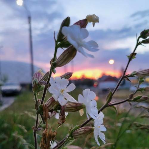 Photo #7779160