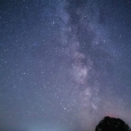 Photo #7779560