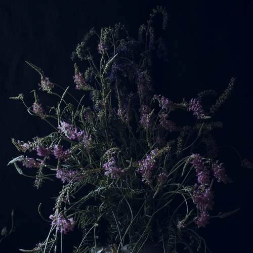 Photo #7779748
