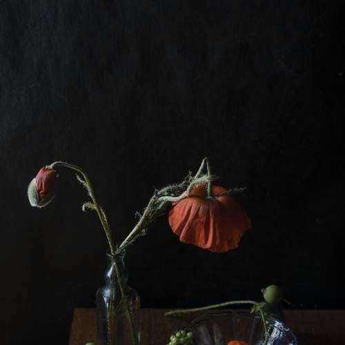 Photo #7779757
