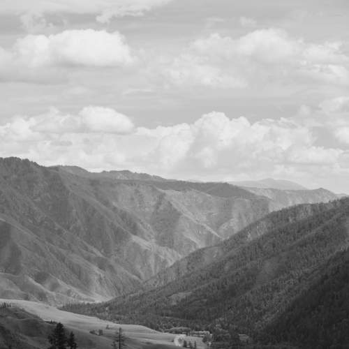 Photo #7779974