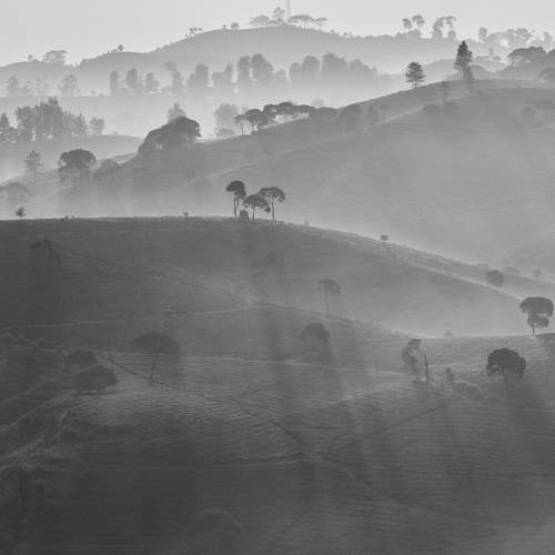Photo #7780112