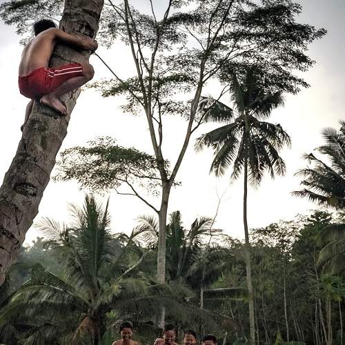 Photo #7780157