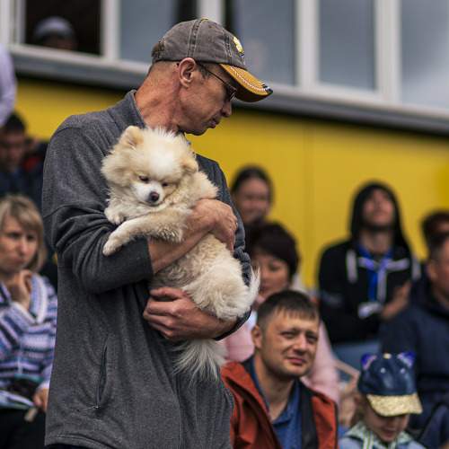 Photo #7780409