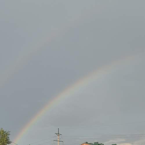 Photo #7780437