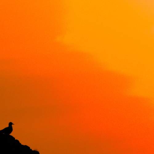 Photo #7780720