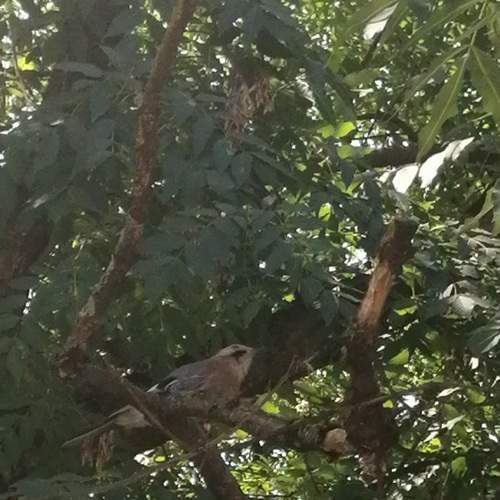 Photo #7780877