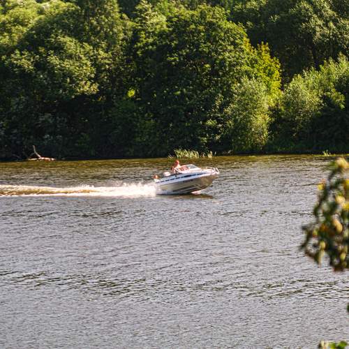 Photo #7781844