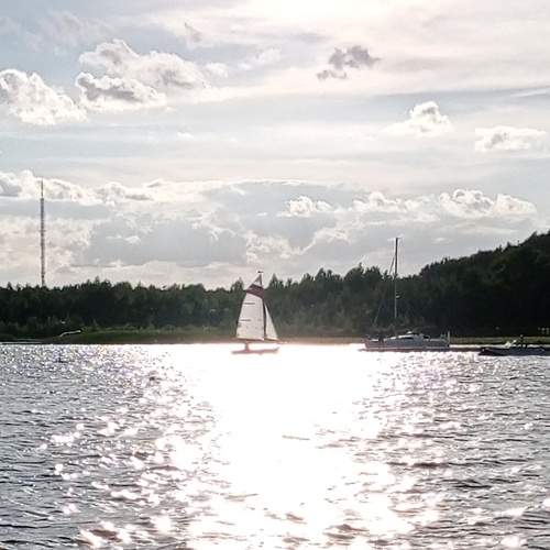 Photo #7781866
