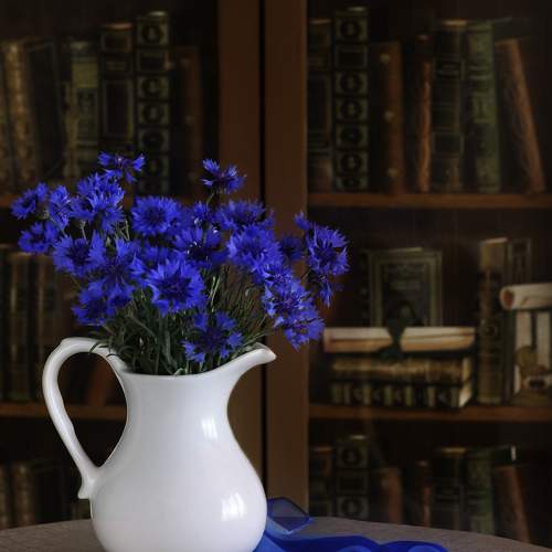 Photo #7782134