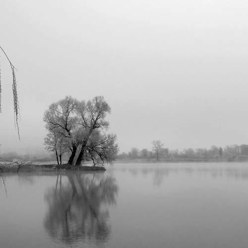 Photo #7782325