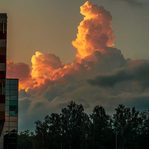 Фотография #7782366