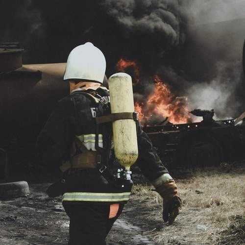 Photo #7782570