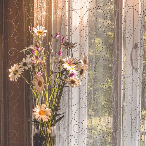 Photo #7782805