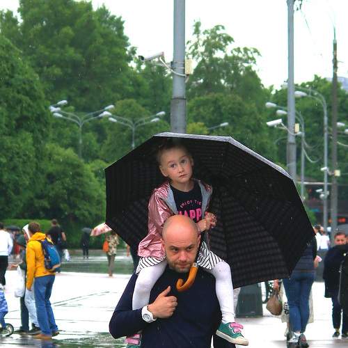Photo #7782835